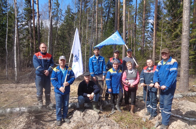 Работники Владимирэнерго принимают активное участие в региональных экологических мероприятиях