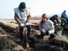 «Пензаэнерго» приняло участие в лесовосстановительной кампании «Пензаэнерго» приняло участие в лесовосстановительной кампании