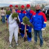 Пензенские энергетики присоединились к международной акции «Сад памяти»