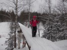 Энергетики «Россети Центр и Приволжье Ивэнерго» приняли участие в лыжном пробеге