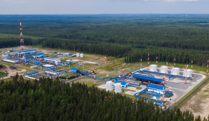 ООО «Транснефть – Балтика» высадило около 200 тыс. сеянцев сосны и ели в Новгородской области