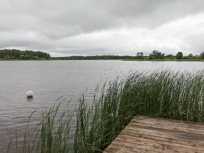​ООО «Транснефть – Балтика» выпустило в Угличское водохранилище почти 4 тыс мальков стерляди