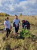 Единый день посадки леса в ГК ТАЛТЭК