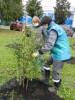 ТАЛТЭК обустраивает свой зеленый двор