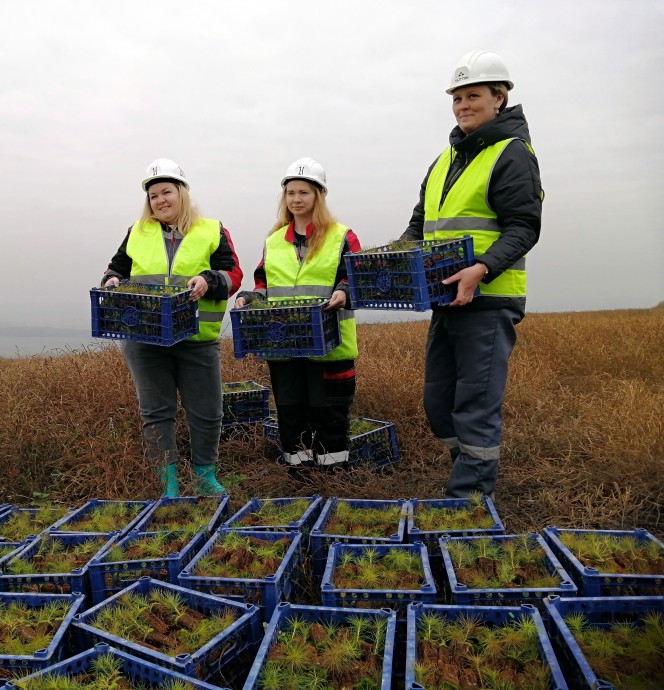 Экологи Группы компаний ТАЛТЭК и ученые КемГУ реализуют совместный проект рекультивации нарушенных горными работами земель