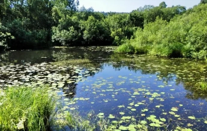 ГК ТАЛТЭК запустила научно-исследовательский проект по сохранению биоразнообразия Кемеровской области