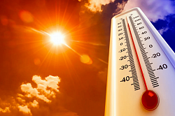 «Россети Юг» подготовили электросетевой комплекс южных регионов к жаркой погоде