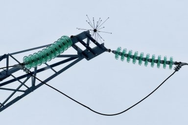 ​Энергетики филиала &laquo;Россети Волга&raquo; установят более 600 птицезащитных устройств на ЛЭП в Самарской области