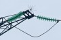​Энергетики филиала &laquo;Россети Волга&raquo; установят более 600 птицезащитных устройств на ЛЭП в Самарской области