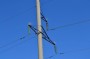 В 2025 году энергетики &laquo;Россети Волга&raquo; установили более 950 птицезащитных устройств на ЛЭП в Пензенской области