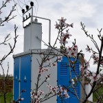 ГУП РК «Крымэнерго» улучшило электроснабжение жителей Приятного свидания Бахчисарайского района