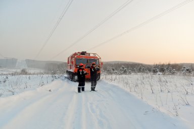 ​Филиал ПАО &laquo;Россети&raquo; расчистил трассы ЛЭП в Томской области протяженностью 340 км