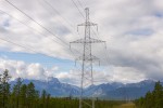 ​Сибирский филиал ПАО «Россети» обеспечил защиту птиц на ключевом энерготранзите Забайкалья